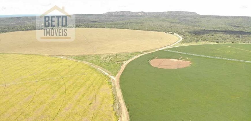 Oportunidade Única! Fazenda para Agricultura e Pecuária 2.132 Ha Localização estratégica | Norte de Minas Gerais Oportunidade Única! Fazenda para Agricultura e Pecuária 2.132 Ha Localização estratégica | Norte de Minas Gerais