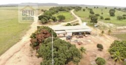 Oportunidade Única! Fazenda para Agricultura e Pecuária 2.132 Ha Localização estratégica | Norte de Minas Gerais Oportunidade Única! Fazenda para Agricultura e Pecuária 2.132 Ha Localização estratégica | Norte de Minas Gerais