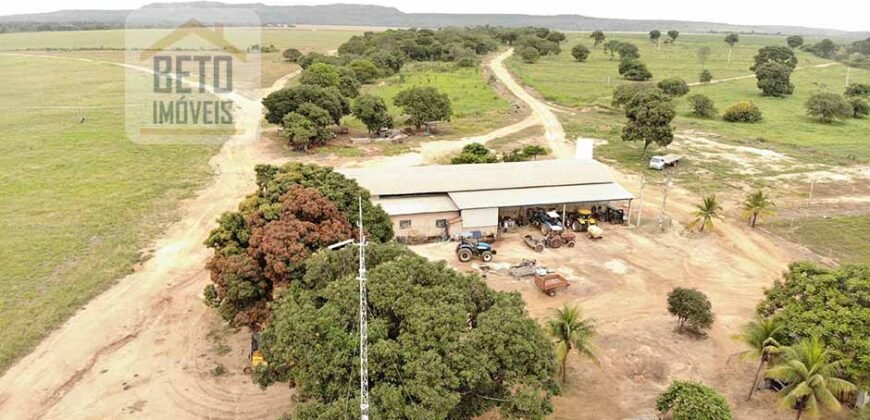 Oportunidade Única! Fazenda para Agricultura e Pecuária 2.132 Ha Localização estratégica | Norte de Minas Gerais Oportunidade Única! Fazenda para Agricultura e Pecuária 2.132 Ha Localização estratégica | Norte de Minas Gerais