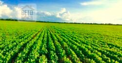 Oportunidade Única! Fazenda para Agricultura e Pecuária 2.132 Ha Localização estratégica | Norte de Minas Gerais Oportunidade Única! Fazenda para Agricultura e Pecuária 2.132 Ha Localização estratégica | Norte de Minas Gerais