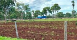 Fazenda à Venda com toda estrutura e tecnologia para Pecuária | Cáceres – MT