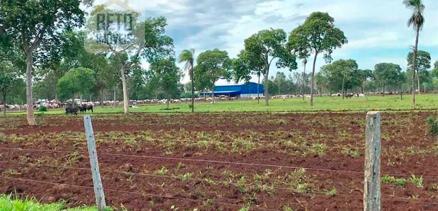 Fazenda à Venda com toda estrutura e tecnologia para Pecuária | Cáceres – MT