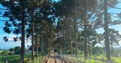 Oportunidade Única: Fazenda de 440 Hectares no Sul de Minas Gerais com Residência de Luxo e Infraestrutura Completa