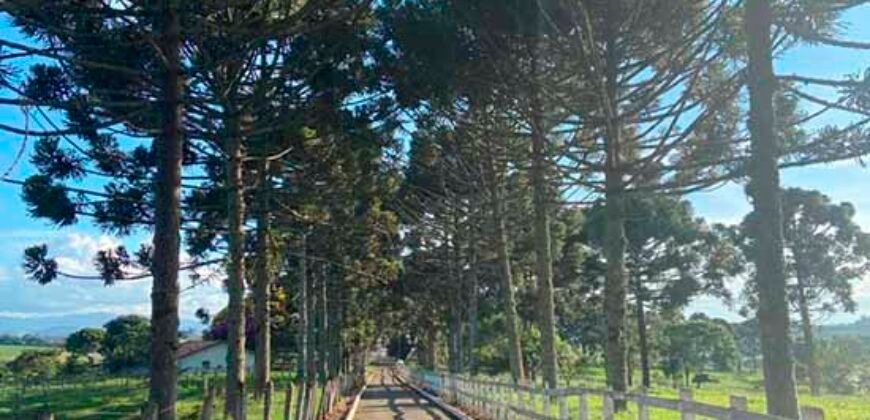 Oportunidade Única: Fazenda de 440 Hectares no Sul de Minas Gerais com Residência de Luxo e Infraestrutura Completa