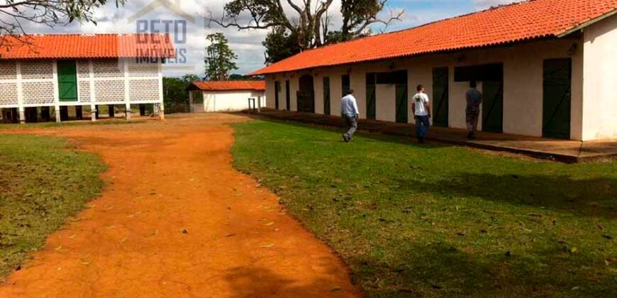 Oportunidade Única: Fazenda de 440 Hectares no Sul de Minas Gerais com Residência de Luxo e Infraestrutura Completa