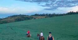 Oportunidade Única: Fazenda de 440 Hectares no Sul de Minas Gerais com Residência de Luxo e Infraestrutura Completa