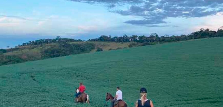 Oportunidade Única: Fazenda de 440 Hectares no Sul de Minas Gerais com Residência de Luxo e Infraestrutura Completa