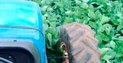 Oportunidade Única: Fazenda de 440 Hectares no Sul de Minas Gerais com Residência de Luxo e Infraestrutura Completa