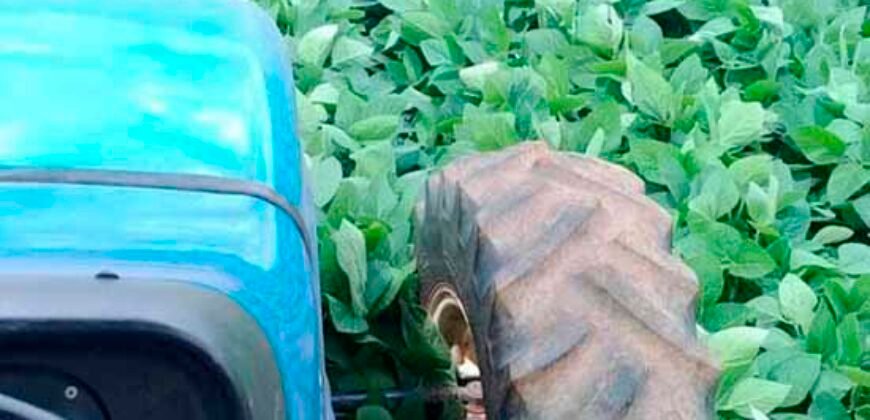 Oportunidade Única: Fazenda de 440 Hectares no Sul de Minas Gerais com Residência de Luxo e Infraestrutura Completa