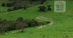 Oportunidade Única: Fazenda de 440 Hectares no Sul de Minas Gerais com Residência de Luxo e Infraestrutura Completa