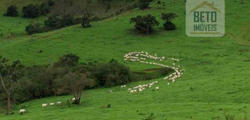 Oportunidade Única: Fazenda de 440 Hectares no Sul de Minas Gerais com Residência de Luxo e Infraestrutura Completa