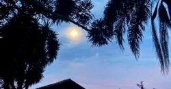 Oportunidade Única: Fazenda de 440 Hectares no Sul de Minas Gerais com Residência de Luxo e Infraestrutura Completa