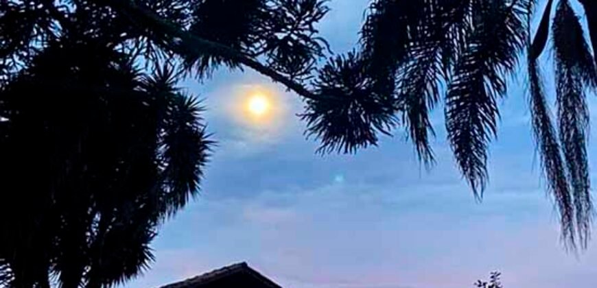 Oportunidade Única: Fazenda de 440 Hectares no Sul de Minas Gerais com Residência de Luxo e Infraestrutura Completa