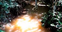 Excelente Fazenda c/ 692.12 hectares Lavoura de soja e Pastagem 100 cabeças | 100 km de Brasília DF – GO