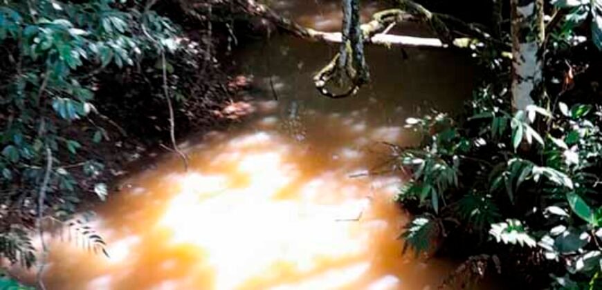 Excelente Fazenda c/ 692.12 hectares Lavoura de soja e Pastagem 100 cabeças | 100 km de Brasília DF – GO