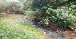 Excelente Fazenda c/ 692.12 hectares Lavoura de soja e Pastagem 100 cabeças | 100 km de Brasília DF – GO