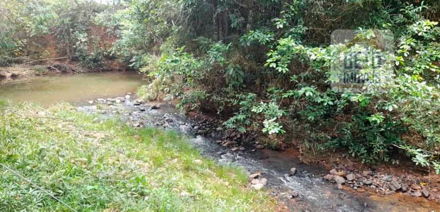 Excelente Fazenda c/ 692.12 hectares Lavoura de soja e Pastagem 100 cabeças | 100 km de Brasília DF – GO
