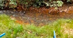 Excelente Fazenda c/ 692.12 hectares Lavoura de soja e Pastagem 100 cabeças | 100 km de Brasília DF – GO