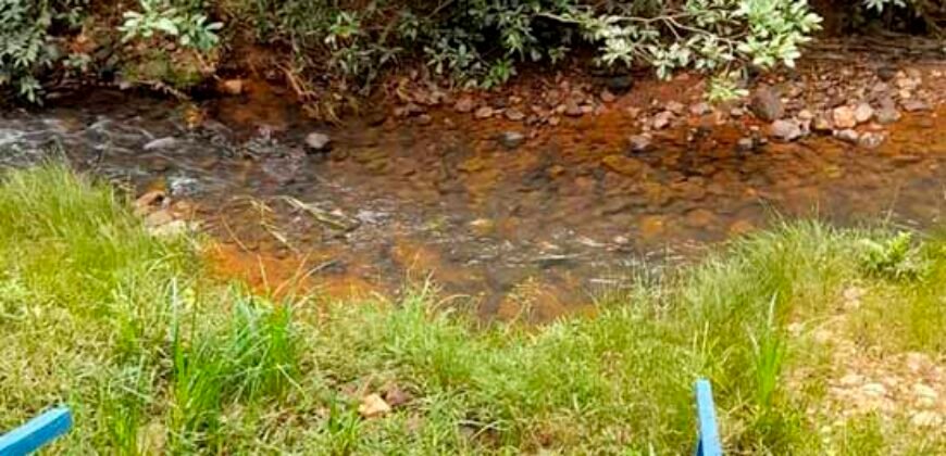 Excelente Fazenda c/ 692.12 hectares Lavoura de soja e Pastagem 100 cabeças | 100 km de Brasília DF – GO