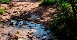 Excelente Fazenda c/ 692.12 hectares Lavoura de soja e Pastagem 100 cabeças | 100 km de Brasília DF – GO