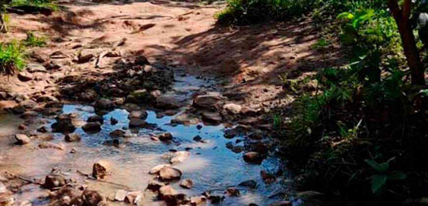 Excelente Fazenda c/ 692.12 hectares Lavoura de soja e Pastagem 100 cabeças | 100 km de Brasília DF – GO