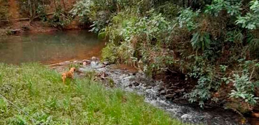 Excelente Fazenda c/ 692.12 hectares Lavoura de soja e Pastagem 100 cabeças | 100 km de Brasília DF – GO
