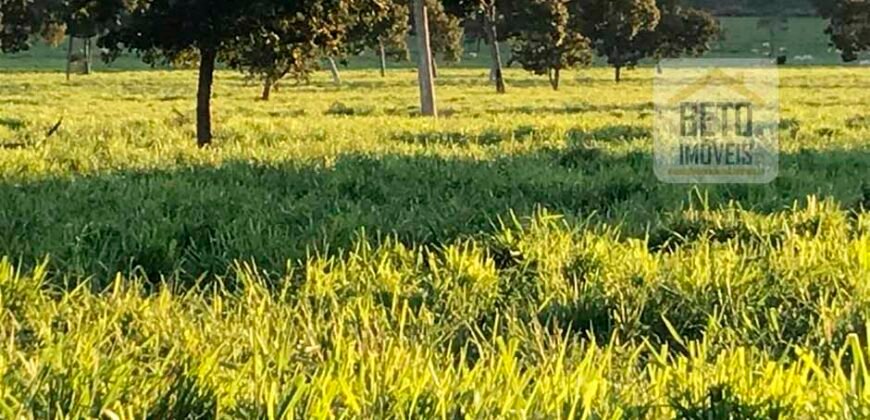 Fazenda à Venda com toda estrutura e tecnologia para Pecuária | Cáceres – MT