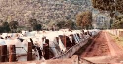 Fazenda à Venda com toda estrutura e tecnologia para Pecuária | Cáceres – MT