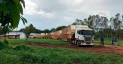 Fazenda à Venda com toda estrutura e tecnologia para Pecuária | Cáceres – MT