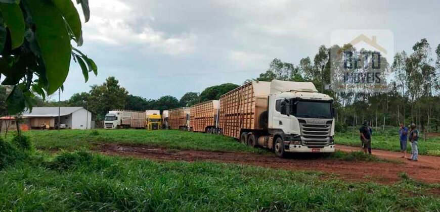 Fazenda à Venda com toda estrutura e tecnologia para Pecuária | Cáceres – MT