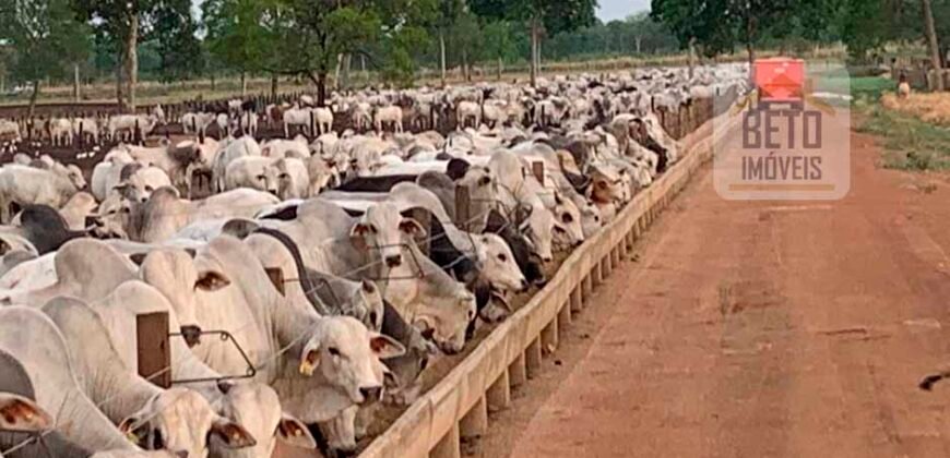 Fazenda à Venda com toda estrutura e tecnologia para Pecuária | Cáceres – MT