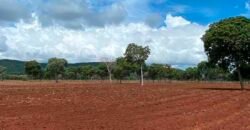 Fazenda à Venda com toda estrutura e tecnologia para Pecuária | Cáceres – MT