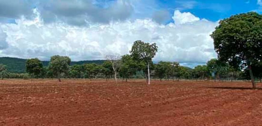 Fazenda à Venda com toda estrutura e tecnologia para Pecuária | Cáceres – MT