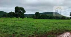 Fazenda à Venda com toda estrutura e tecnologia para Pecuária | Cáceres – MT