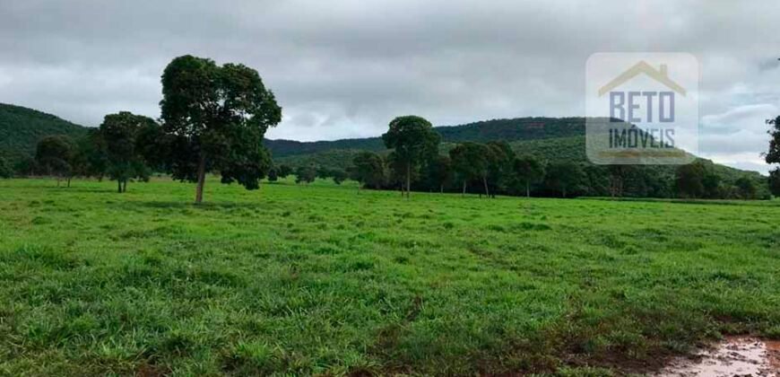 Fazenda à Venda com toda estrutura e tecnologia para Pecuária | Cáceres – MT