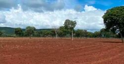 Fazenda à Venda com toda estrutura e tecnologia para Pecuária | Cáceres – MT