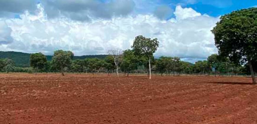 Fazenda à Venda com toda estrutura e tecnologia para Pecuária | Cáceres – MT