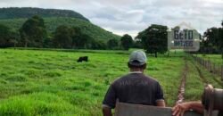 Fazenda à Venda com toda estrutura e tecnologia para Pecuária | Cáceres – MT