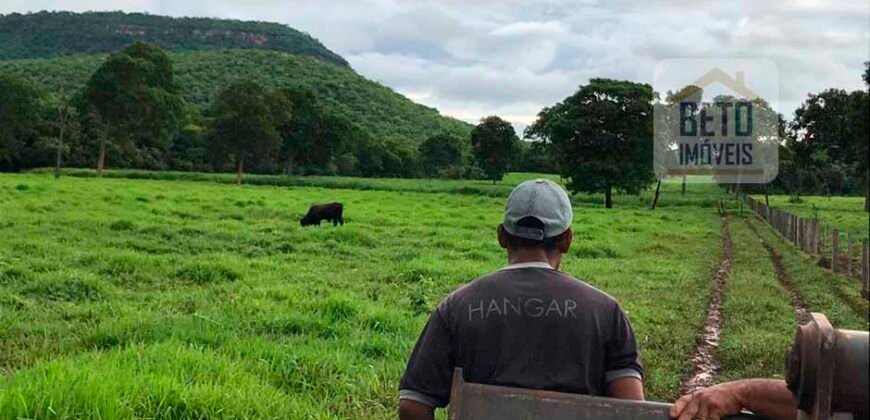 Fazenda à Venda com toda estrutura e tecnologia para Pecuária | Cáceres – MT