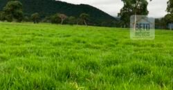 Fazenda à Venda com toda estrutura e tecnologia para Pecuária | Cáceres – MT