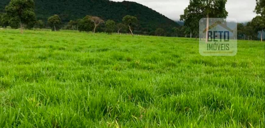 Fazenda à Venda com toda estrutura e tecnologia para Pecuária | Cáceres – MT