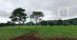 Fazenda à Venda com toda estrutura e tecnologia para Pecuária | Cáceres – MT