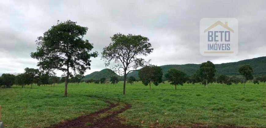 Fazenda à Venda com toda estrutura e tecnologia para Pecuária | Cáceres – MT