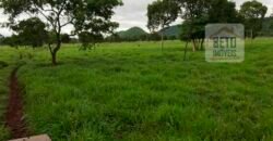 Fazenda à Venda com toda estrutura e tecnologia para Pecuária | Cáceres – MT