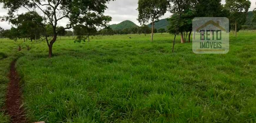 Fazenda à Venda com toda estrutura e tecnologia para Pecuária | Cáceres – MT