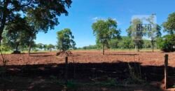 Fazenda à Venda com toda estrutura e tecnologia para Pecuária | Cáceres – MT