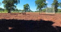 Fazenda à Venda com toda estrutura e tecnologia para Pecuária | Cáceres – MT