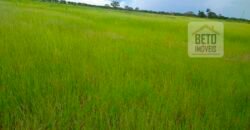 Fazenda 24 Mil Hectares de Puro Potencial Agropecuário e Beleza Natural | N. S. do Livramento/ MT