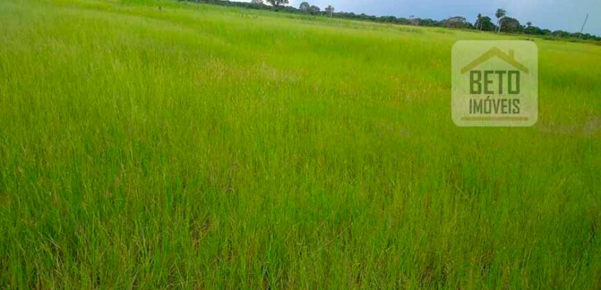 Fazenda 24 Mil Hectares de Puro Potencial Agropecuário e Beleza Natural | N. S. do Livramento/ MT