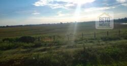 Fazenda 24 Mil Hectares de Puro Potencial Agropecuário e Beleza Natural | N. S. do Livramento/ MT